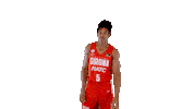 Liga Endesa No Sticker by ACB