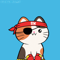 Aye Aye Captain GIF by Silly Kitties