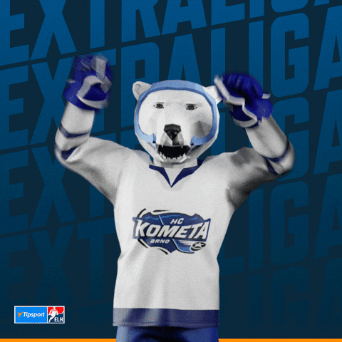 Hockey Hokej GIF by Tipsport extraliga
