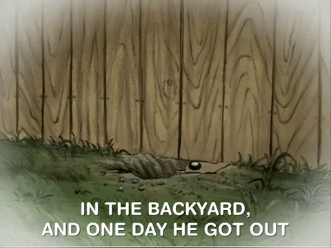 hey arnold nicksplat GIF