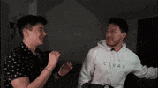 youtooz slap markiplier ethan youtooz GIF