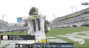 Pittsburgh Steelers Football GIF by NFL