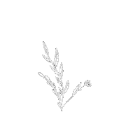 Flower Sticker