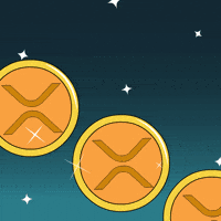 Crypto Penguin GIF by Pudgy Penguins