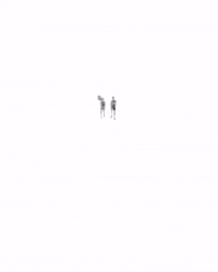 Self Portrait Art GIF by xavieralopez