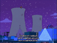 homer simpson night GIF