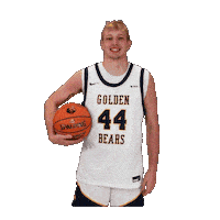 Basketball Sticker by WVU Tech Golden Bears