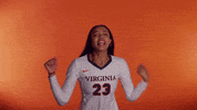 VirginiaAthletics uva virginiasports uvavolleyball virginia volleyball GIF