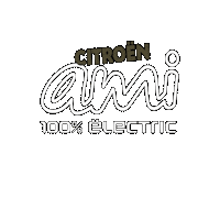Citroen Sticker by Autoplus Olbia