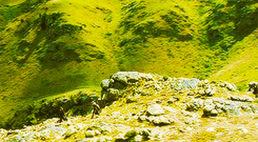 The Lord Of The Rings Earth Day GIF