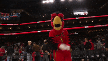 Atlanta Hawks Lol GIF by NBA