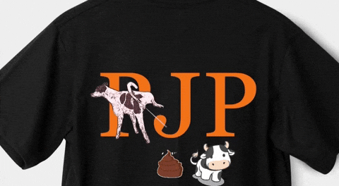 Rahul Gandhi Vote GIF