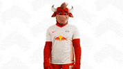 Come On Motivation GIF by RB Leipzig