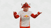 Football Soccer GIF by RB Leipzig