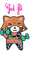 Napash sport fitness fit red panda Sticker