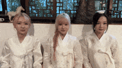 K Pop Limelight GIF