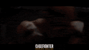 Mixed Martial Arts Fight GIF by Indiecan Entertainment Inc.