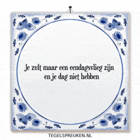 Moment Nl GIF by Tegelspreuken.nl