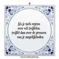 Humor Reflectie GIF by Tegelspreuken.nl