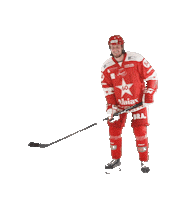 Stjernen Elite Sticker by StjernenHockey