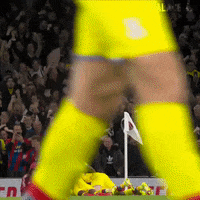 Celebrate Premier League GIF by CPFC