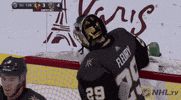 ice hockey thank you GIF by NHL