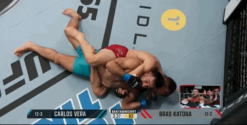 The Ultimate Fighter GIF by UFC