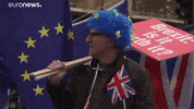 Brexit GIF by euronews