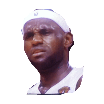 lebron james Sticker