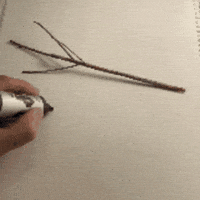 yoondjembe typography calligraphy sloth typo GIF