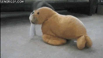 play toy GIF by Cheezburger