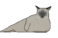 Cat Seal Sticker by Jasi