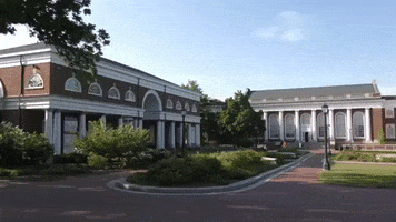 virginia GIF