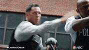Season 22 Nbc GIF by Law & Order