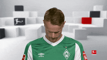 Line Up Smile GIF by Bundesliga