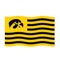 hawkeyes hawkeyepride Sticker by University of Iowa