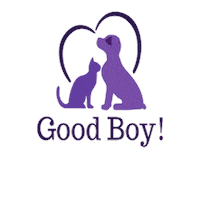 Good Boy Cat Sticker by RCO Pet Care