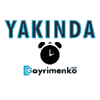 Gayrimenko online satılık satıldı yakında Sticker