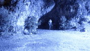fox night GIF by New Girl