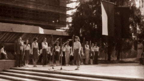 intebold giphygifmaker intebold GIF