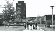 GIF by Binghamton University