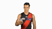 essendonfc dons bombers essendon essendon fc GIF