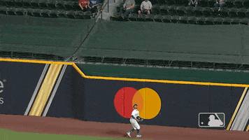 Major League Baseball Sport GIF by MLB