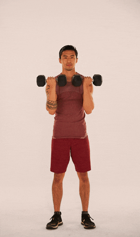 Openfit arnold press GIF