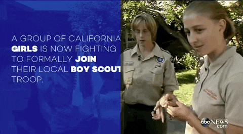 boy scouts news GIF