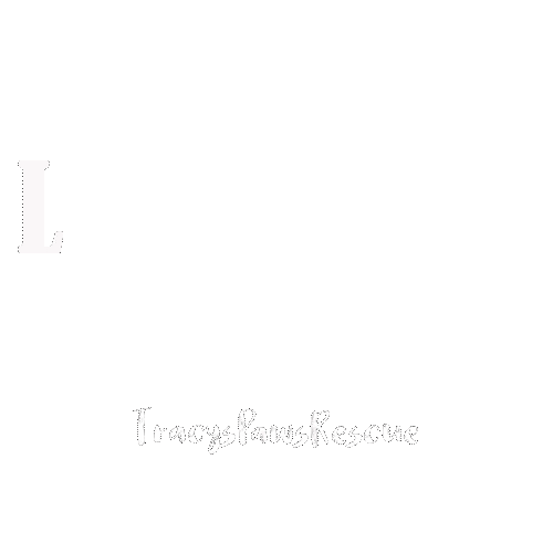 Dog Love Sticker by TracysPawsRescue