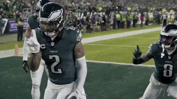 Philadelphia Eagles Go Birds GIF by Stock King Options