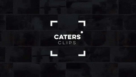 Cmg Caters GIF by catersmediagroup