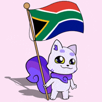 South Africa Flag GIF by Lucky Kat Studios