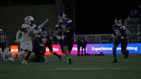 College Football GIF by Northwestern Athletics